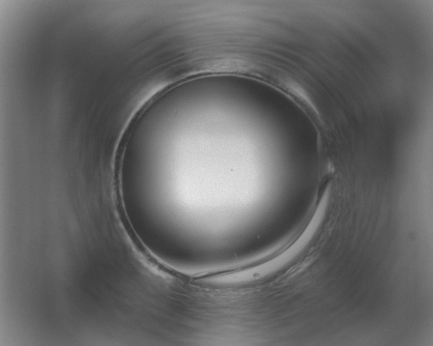X0000062691087200512281825