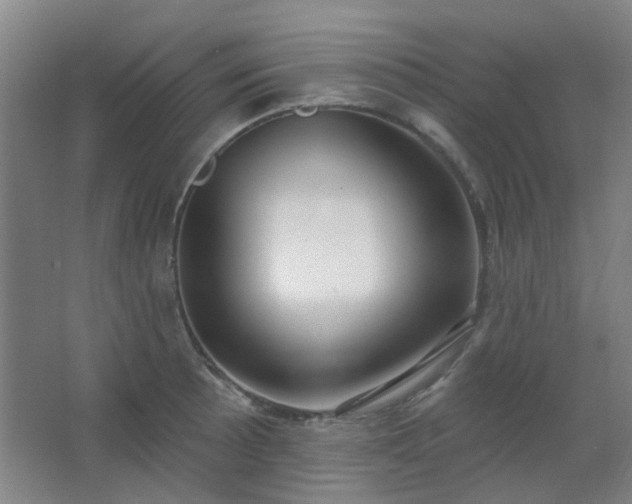 X0000062691089200512281825