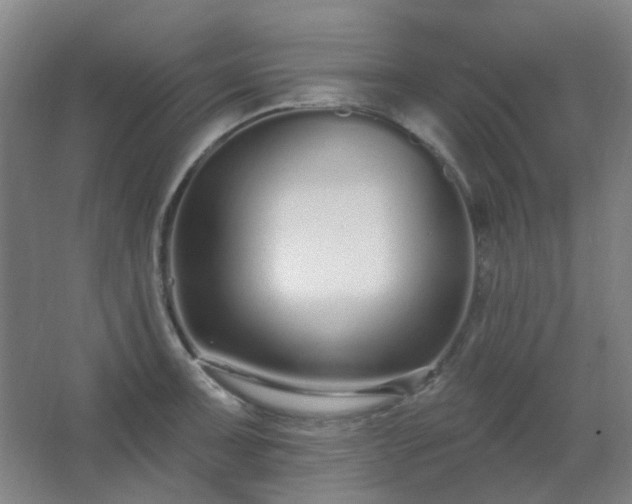 X0000062691091200512281825