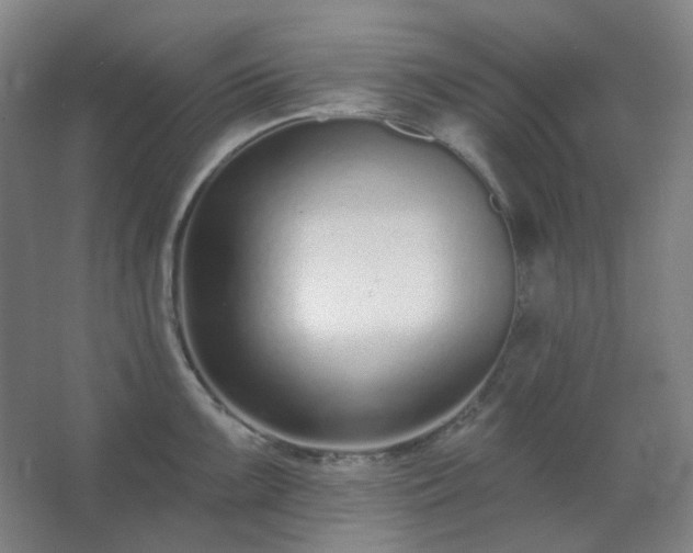 X0000062691099200512281825