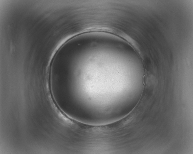 X0000062691102200512281825