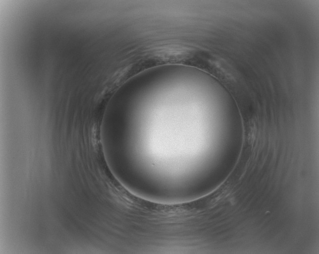 X0000062691108200512281824
