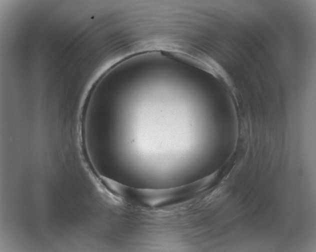 X0000062691144200512281825