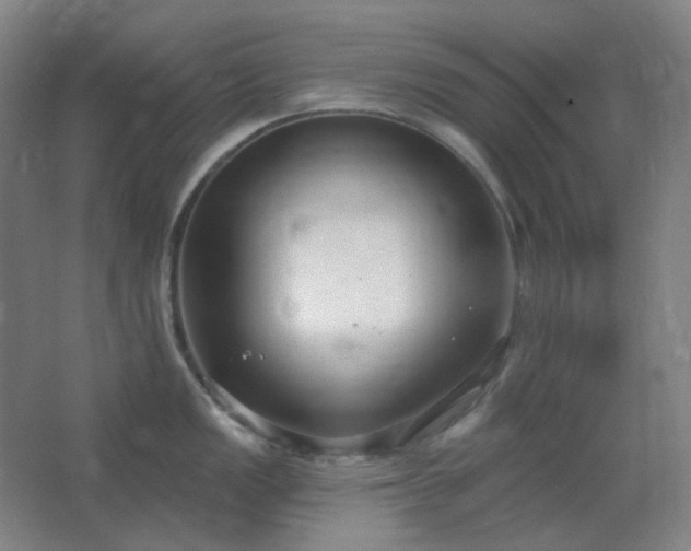 X0000062691149200512281825