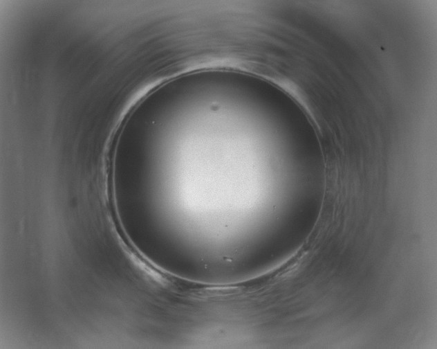 X0000062691151200512281825