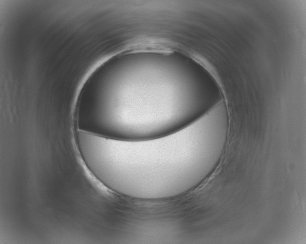 X0000062691152200512281825