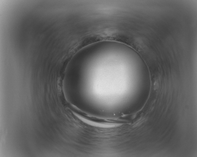X0000062691156200512281824