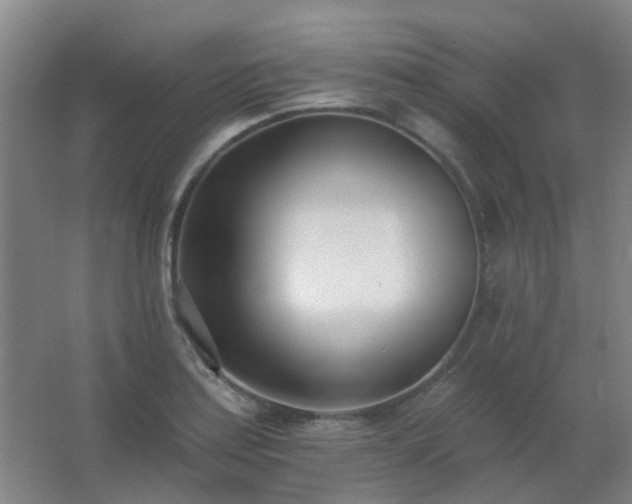 X0000062691179200512281824