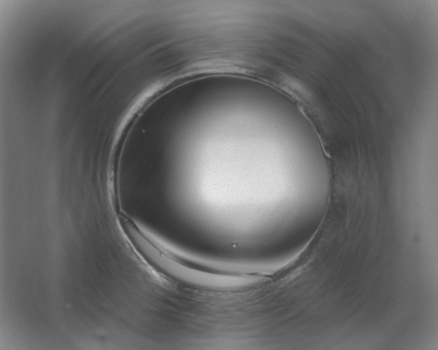 X0000062691188200512281824