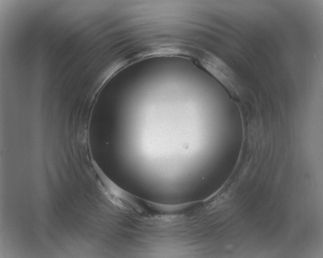 X0000062691193200512281824