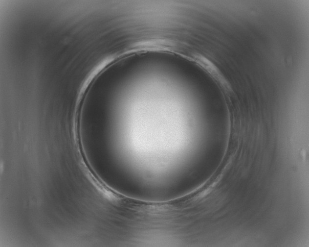X0000062691196200512281824