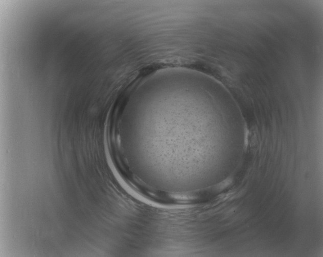 X0000062691202200512281823