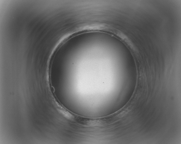 X0000062691232200512281823
