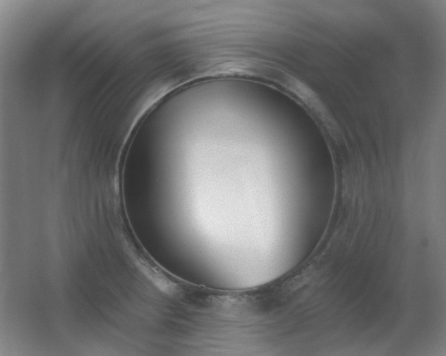 X0000062691234200512281823