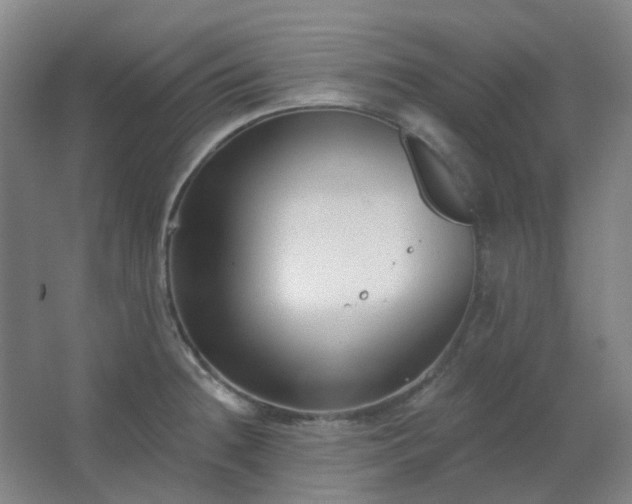 X0000062691236200512281823