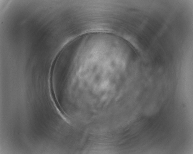 X0000062691237200512281823