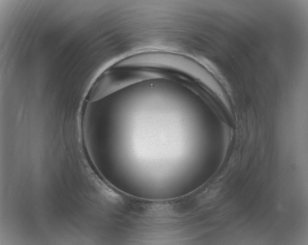 X0000062691238200512281823