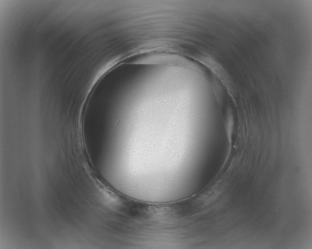 X0000062691242200512281823