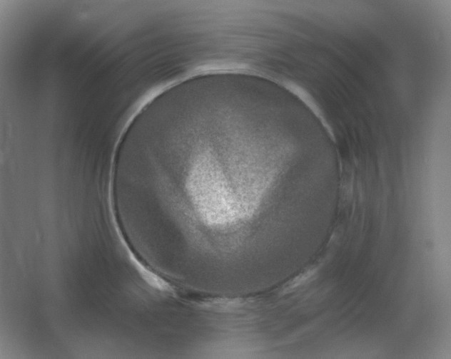 X0000062691245200512281823