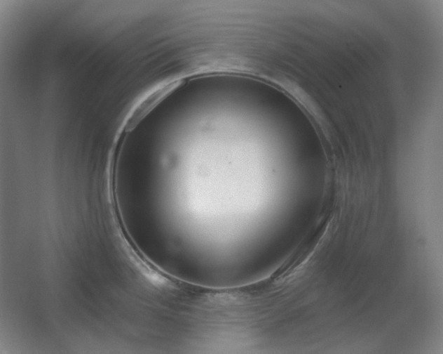 X0000062691246200512281823