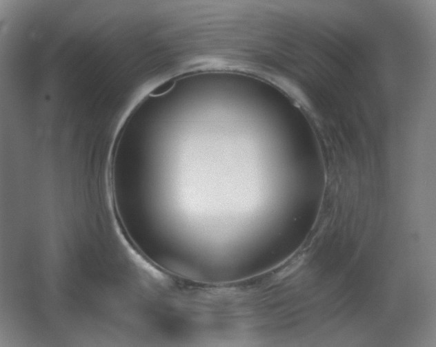 X0000062691247200512281824