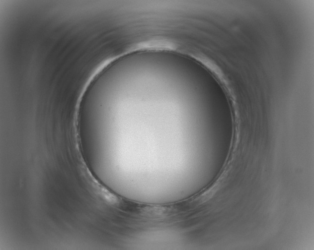 X0000062691248200512281824