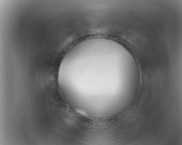 X0000062691254200512281823