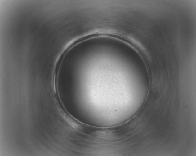 X0000062691272200512281822