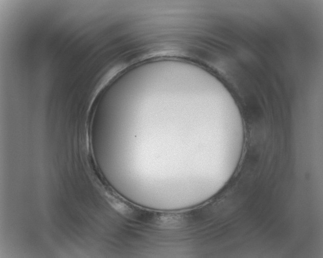 X0000062691274200512281822