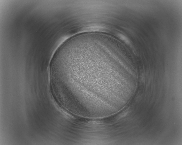 X0000062691275200512281822