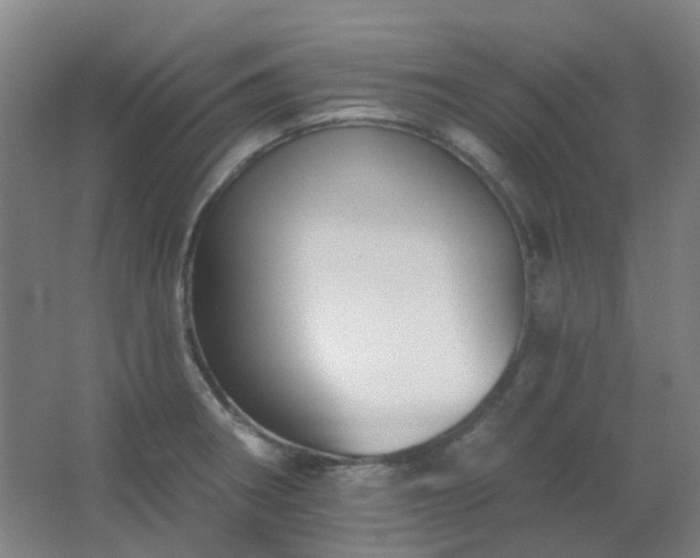 X0000062691282200512281822