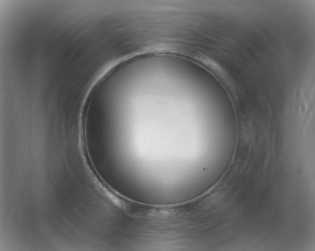X0000062691286200512281822