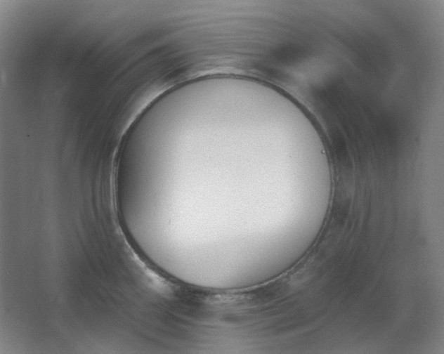 X0000062691290200512281822