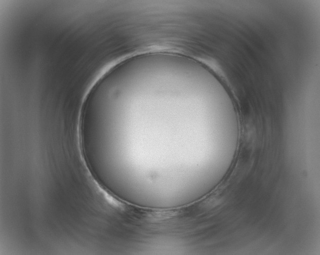 X0000062691294200512281822