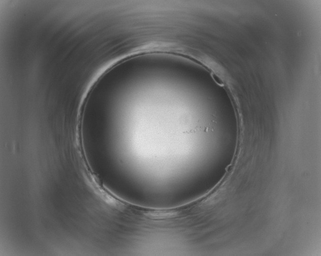 X0000062691296200512281822