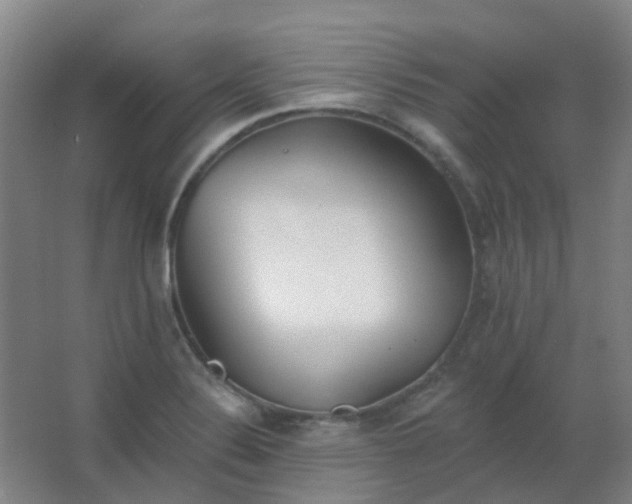 X0000062691324200512281822