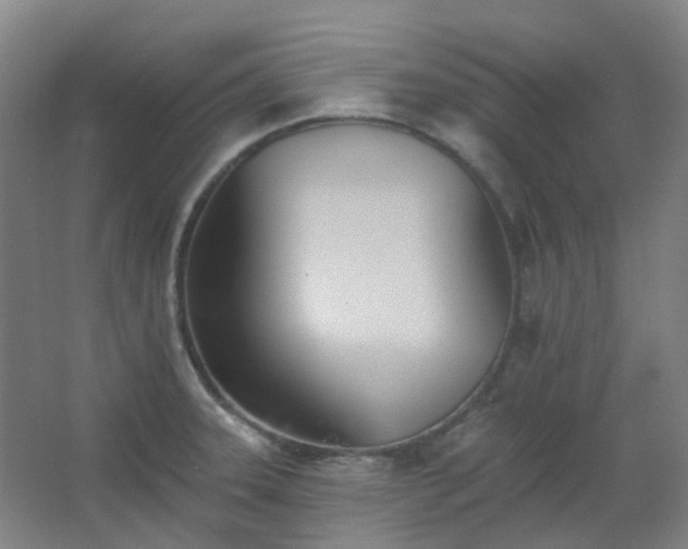 X0000062691331200512281822