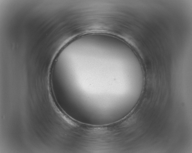 X0000062691333200512281822