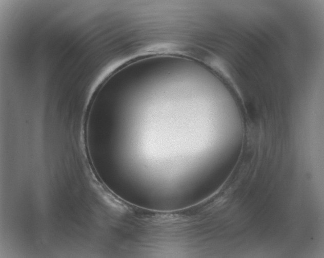 X0000062691336200512281822