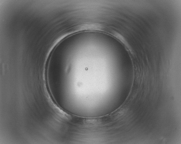 X0000062691339200512281822