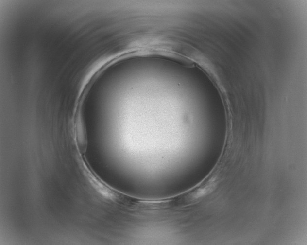 X0000062691344200512281822