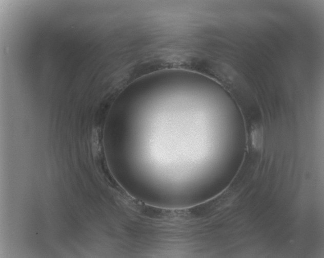 X0000062691347200512281821