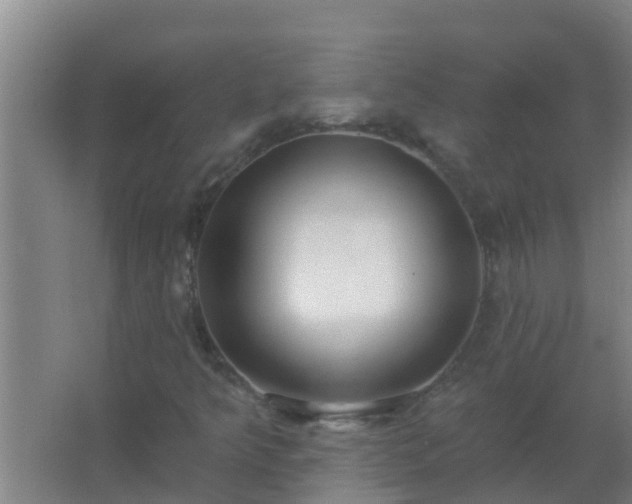 X0000062691349200512281821