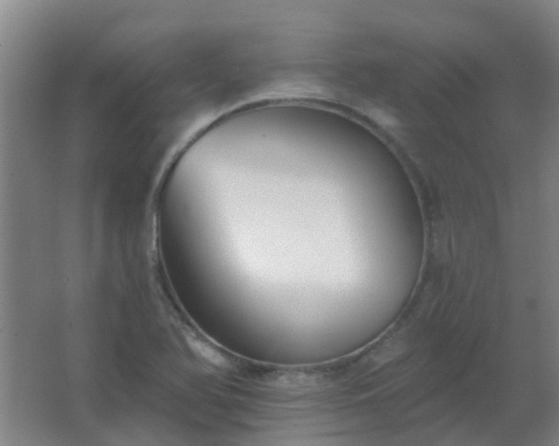 X0000062691366200512281821