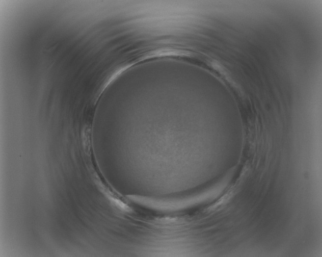 X0000062691369200512281821