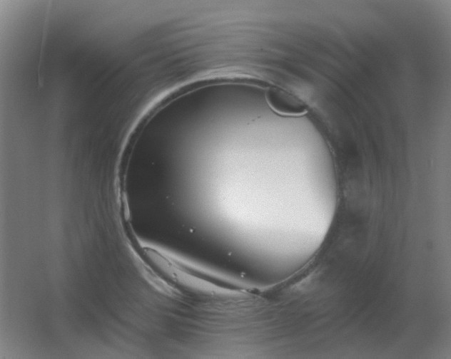 X0000062691372200512281821