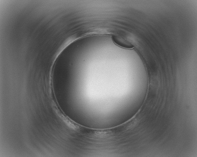 X0000062691378200512281821