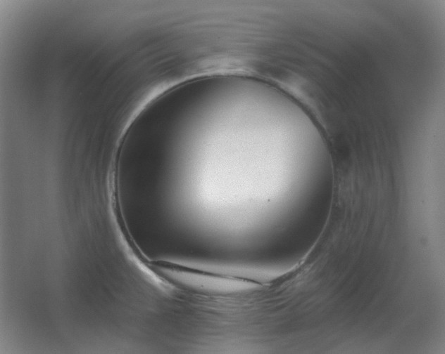X0000062691383200512281820