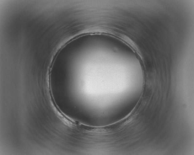 X0000062691388200512281820