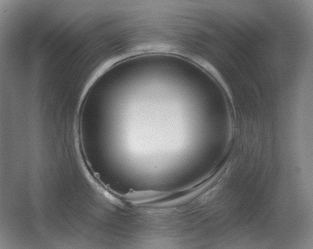 X0000062691389200512281820